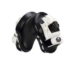Boxing Focus Mitts
