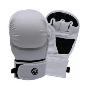 Sparring Gloves