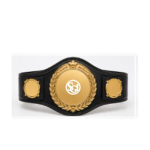 Boxing Belts