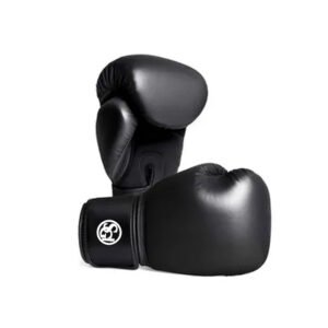BOXING GLOVES